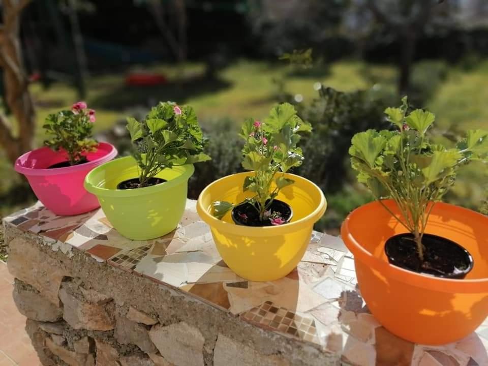 Apartament Dairos Mali Lošinj Zewnętrze zdjęcie